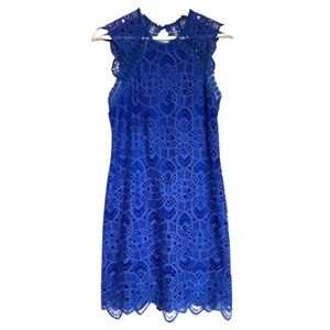 Like NEW Blue Lace Dress